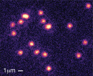 Single_atoms_small